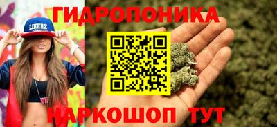 мяу мяу мука Свободный