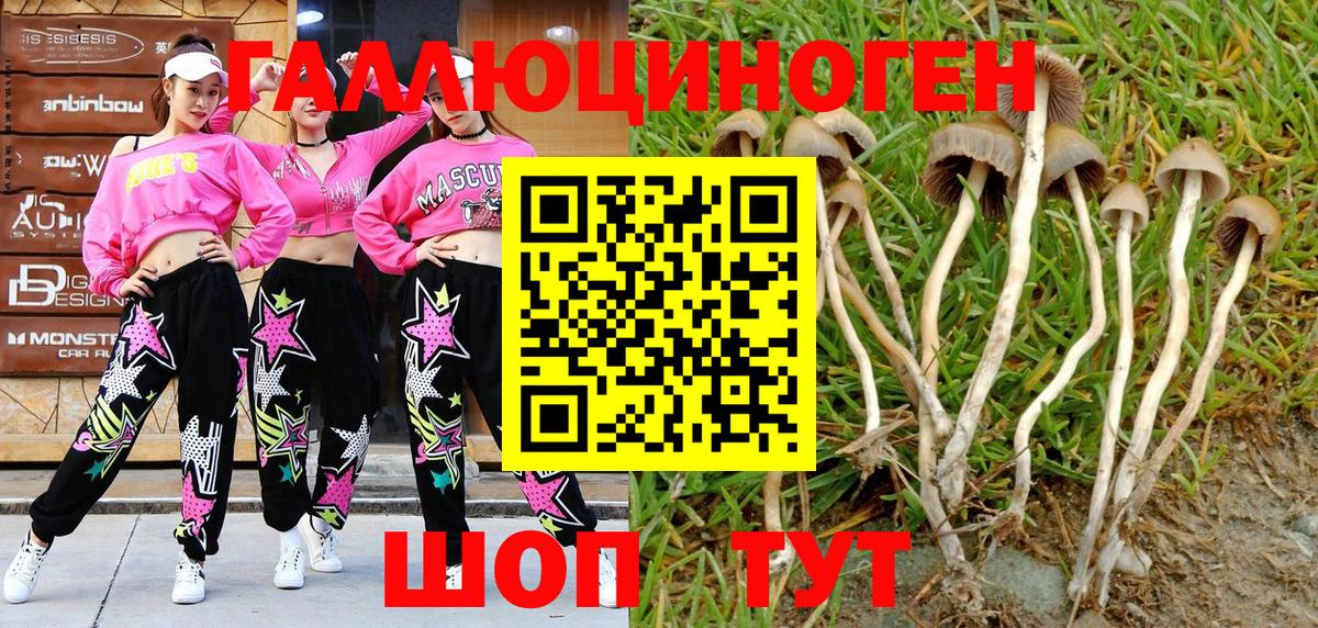 Псилоцибиновые грибы ЛСД Печора